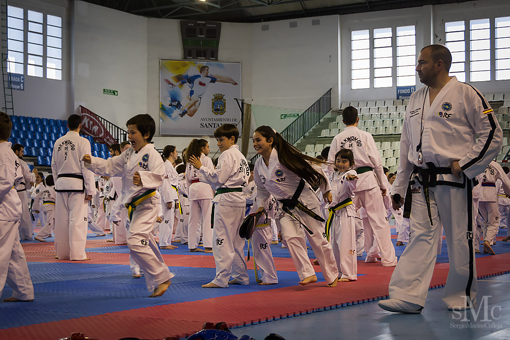 DIA DEL TAEKWONDO ABRIL 2017_3635.JPG